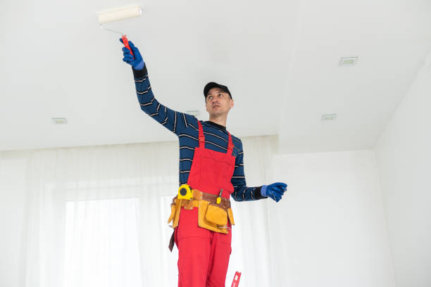 Best Mold Remediation for Vacation Homes  in Coldwater, MS